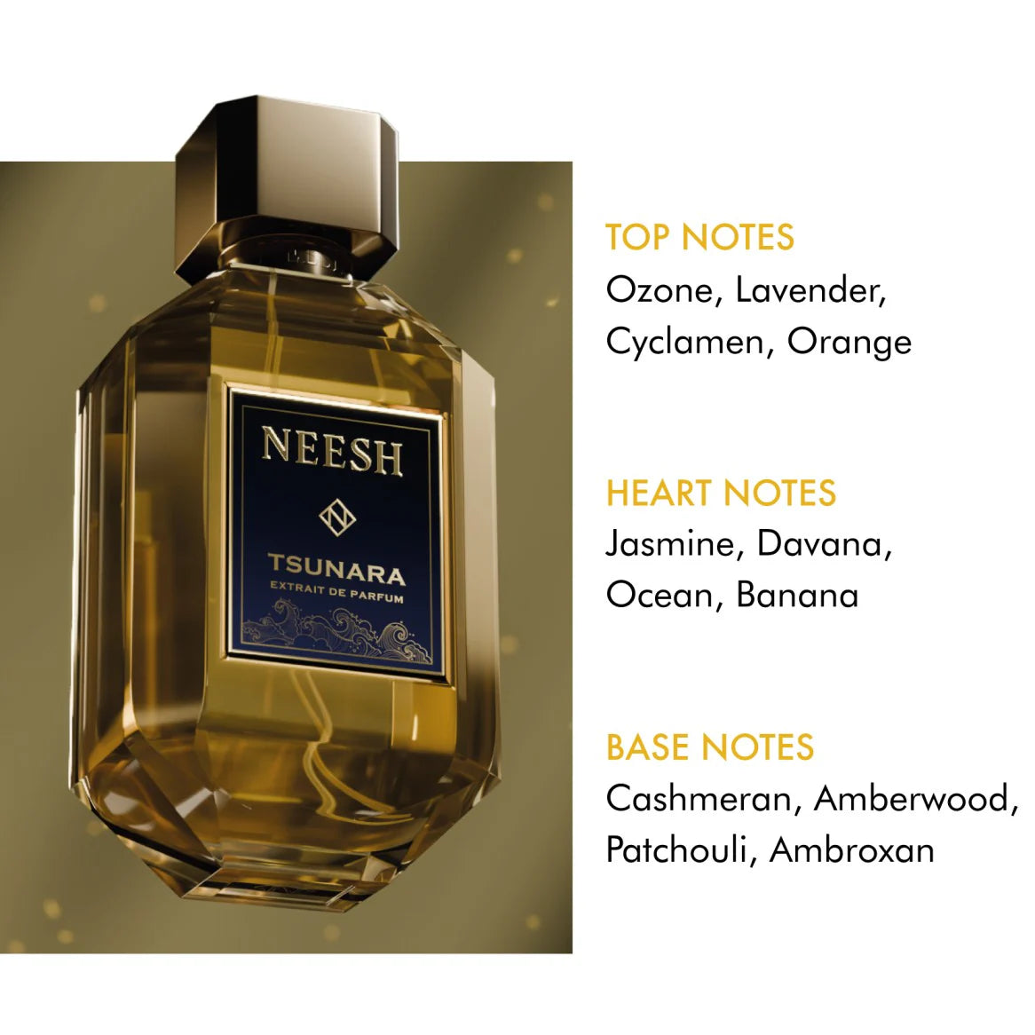NEESH Tsunara Perfume Extrait de Parfum 100ml For men